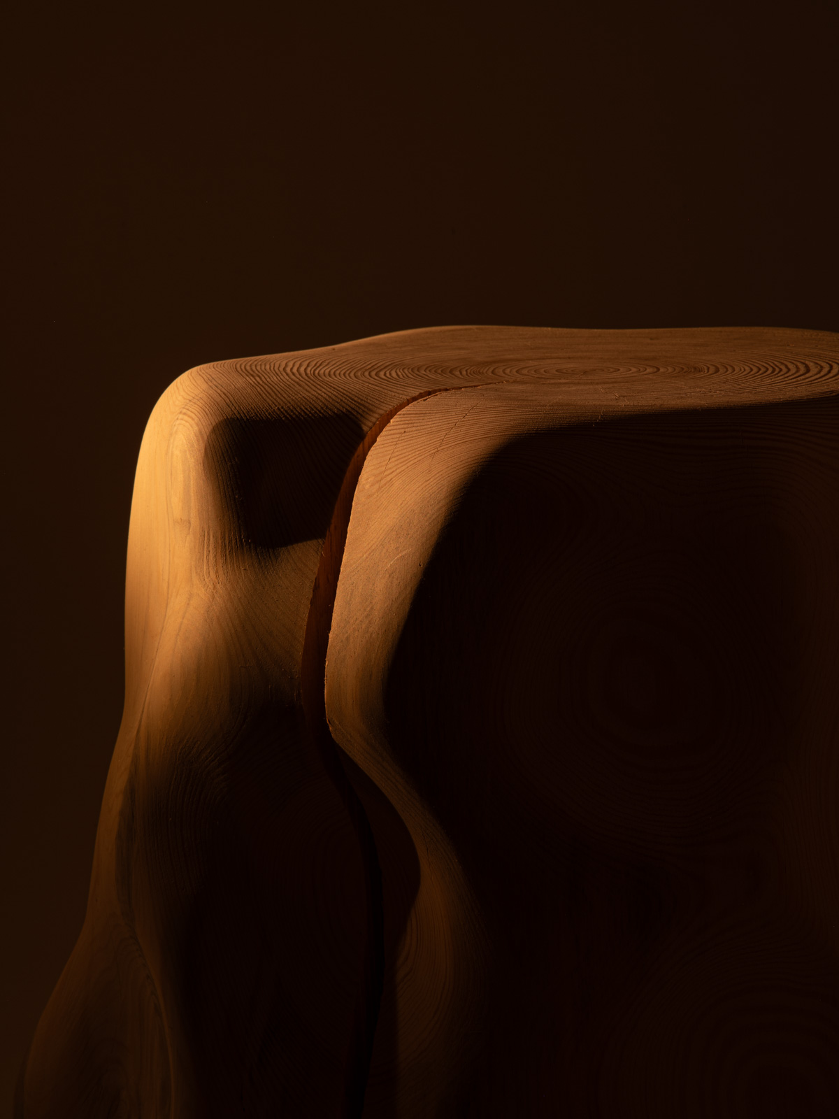 log_12 image